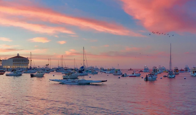 Mailbox Rental | Avalon, CA